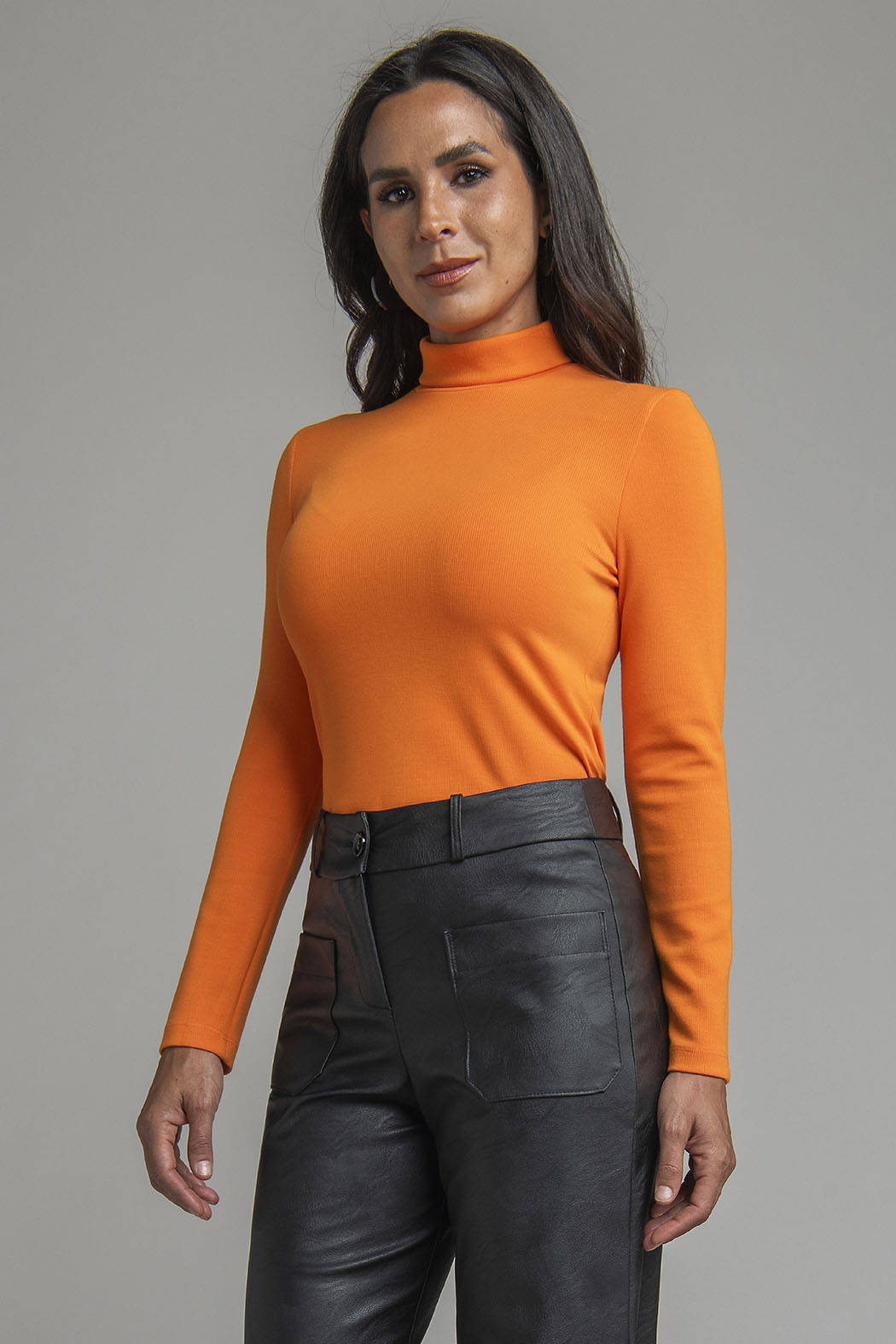 Blusa Lisa De Manga Larga Y Cuello Alto